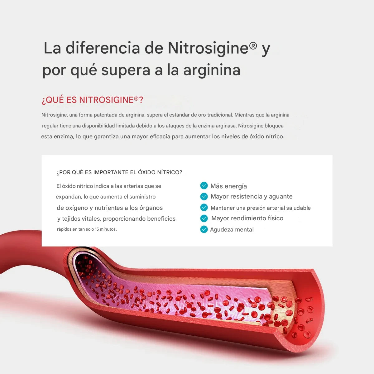 BloodFlow® Suplemento de Oxido Nítrico x60 cápsulas - Abre las arterias un 62% para mejor circulación✨HOY 30% DCTO