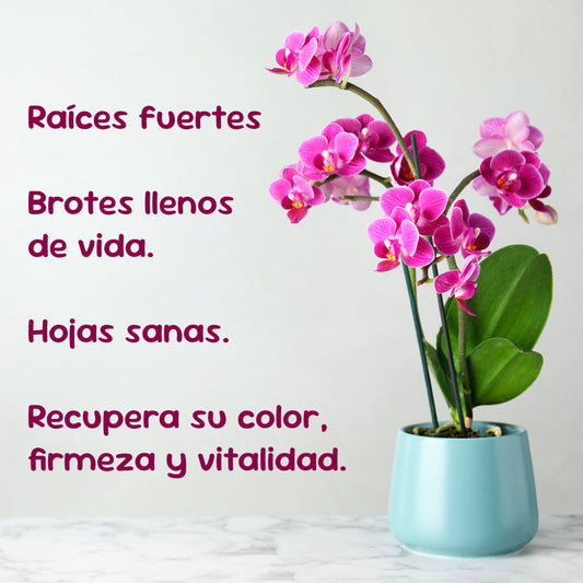 Enraizante de orquídeas 120ml: recupera el color, la fuerza y vitalidad de tus orquídeas